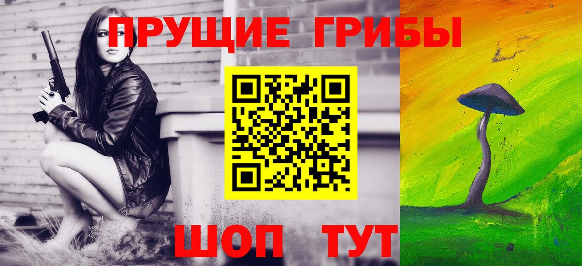 купить  цена  Вход с VPN  Трёхгорный  Галлюциногенные грибы Psilocybine cubensis 